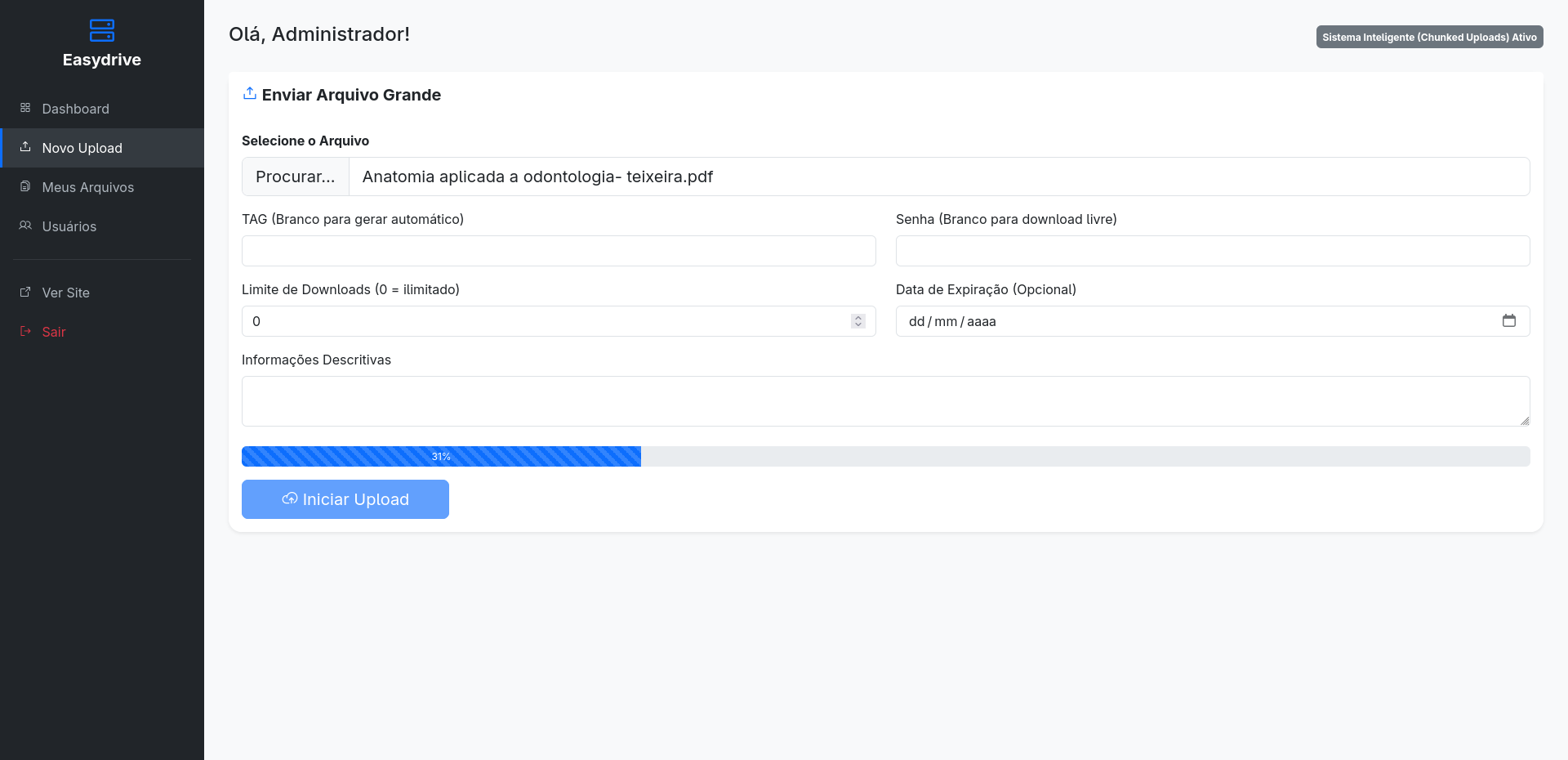 EasyDrive: Sistema em PHP para Transferência e Disponibilização de Arquivos - Imagem 8