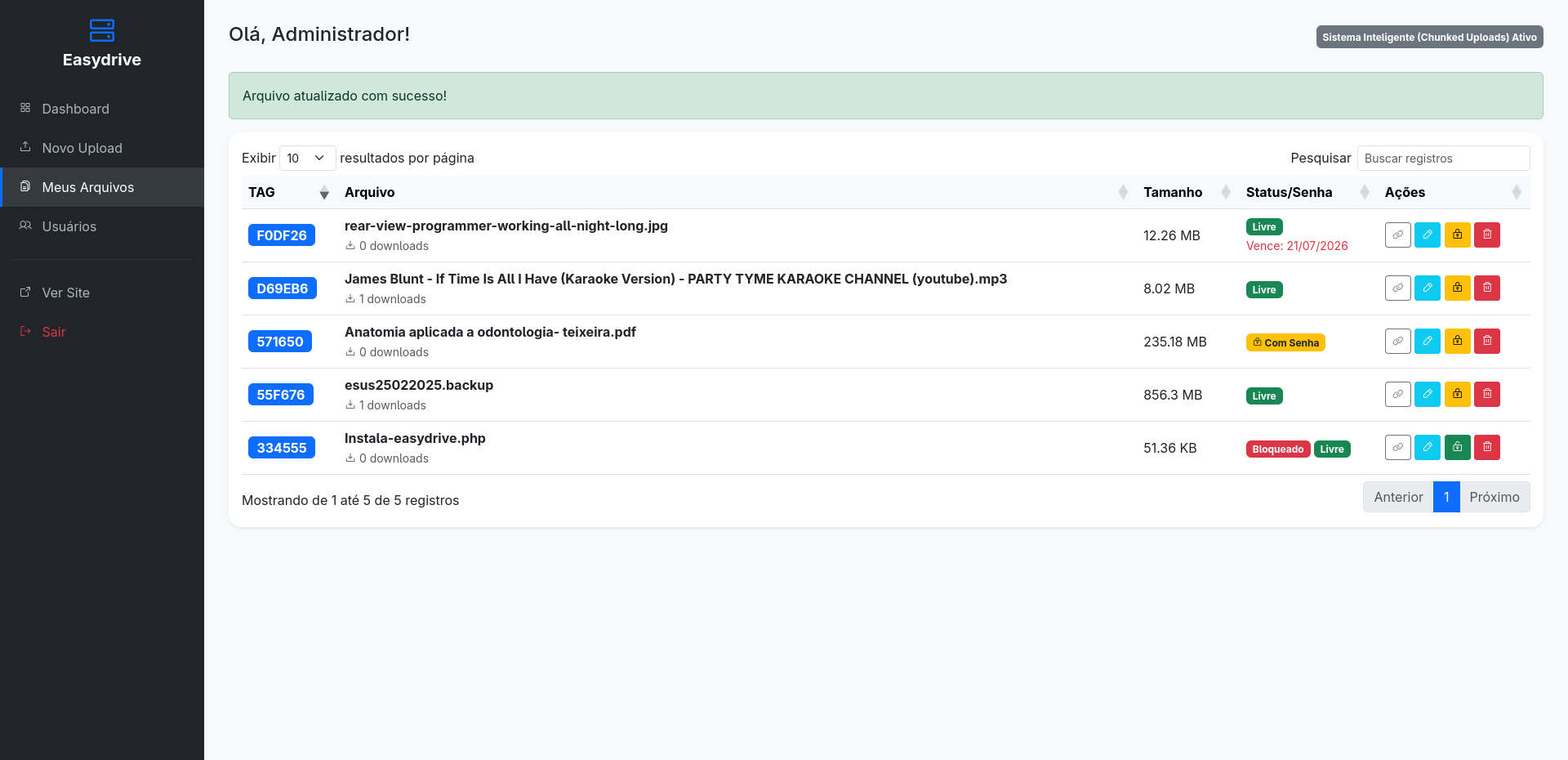 EasyDrive: Sistema em PHP para Transferência e Disponibilização de Arquivos - Imagem 14